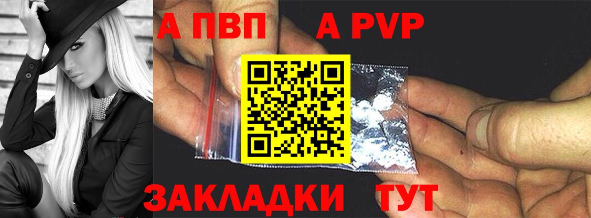 Alfa_PVP СК КРИС Пенза