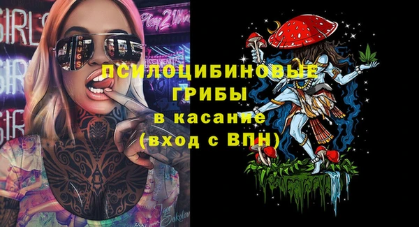 дурь Михайловск