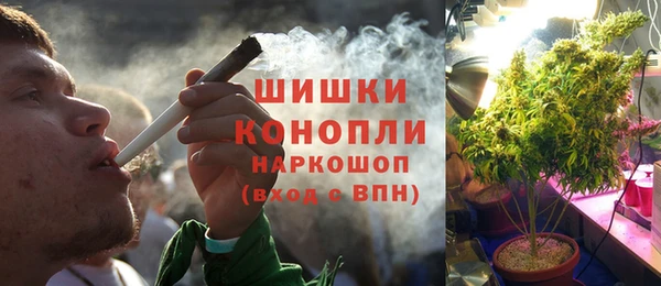 дурь Михайловск
