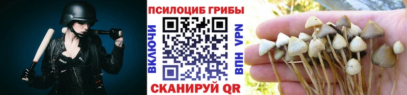 Псилоцибиновые грибы MAGIC MUSHROOMS blacksprut ссылка Пенза закладка