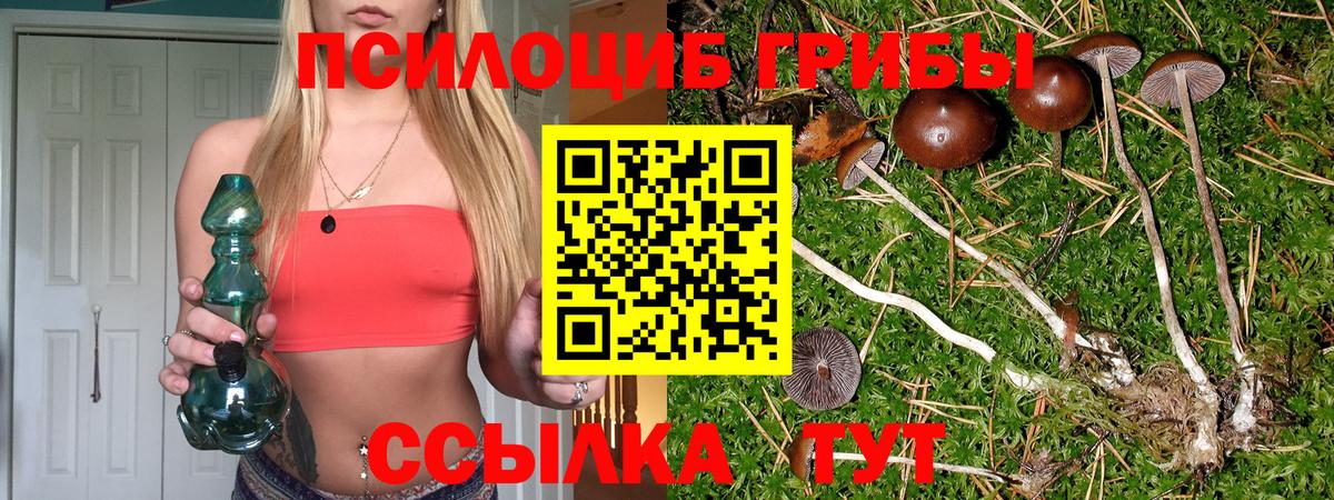 Галлюциногенные грибы мухоморы  Вход с VPN  Пенза 