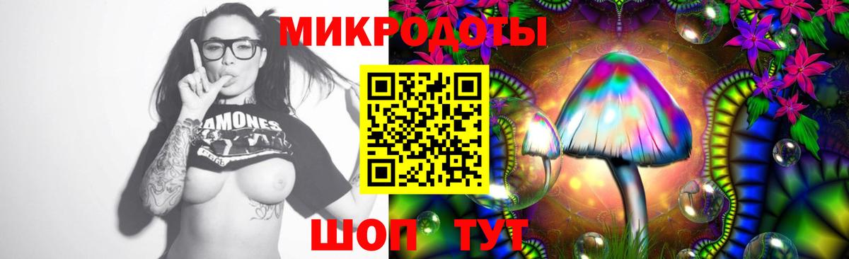 Галлюциногенные грибы Psilocybe Пенза